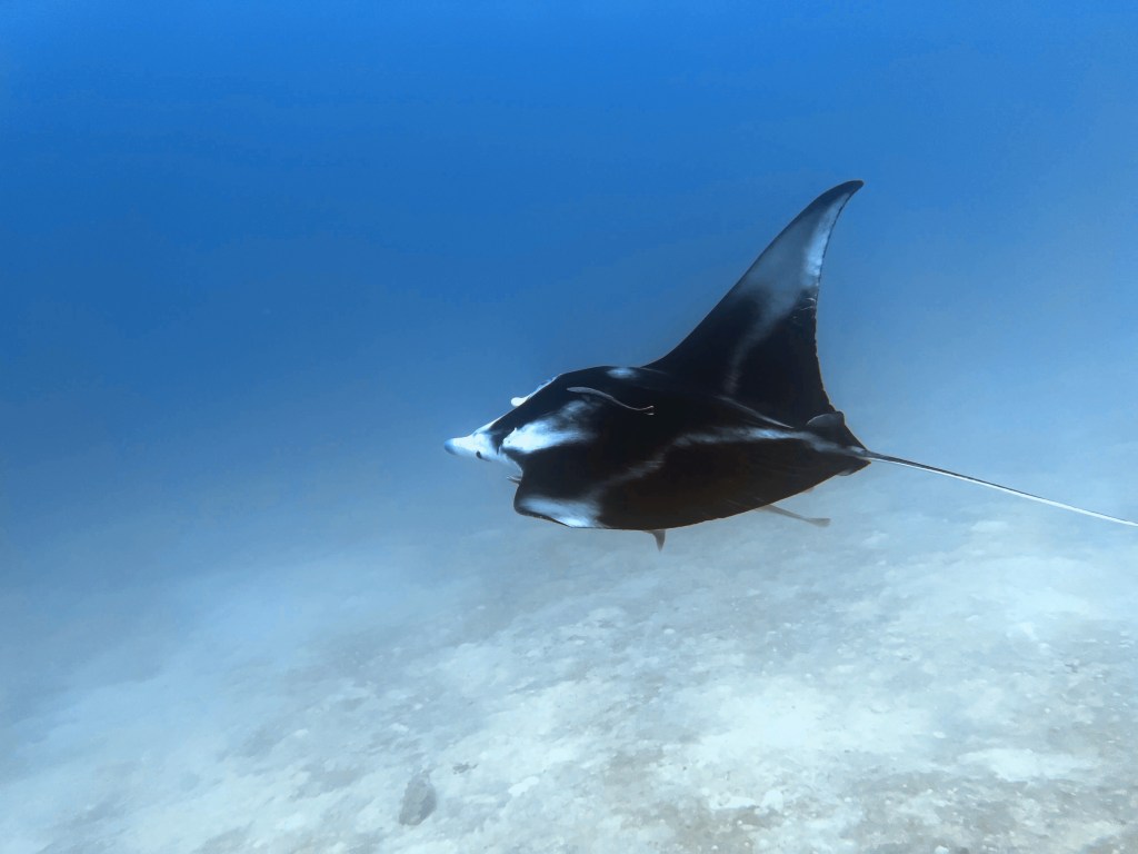 Navigating the Tension Between Law, Ethics, and ESG in&nbsp;2025